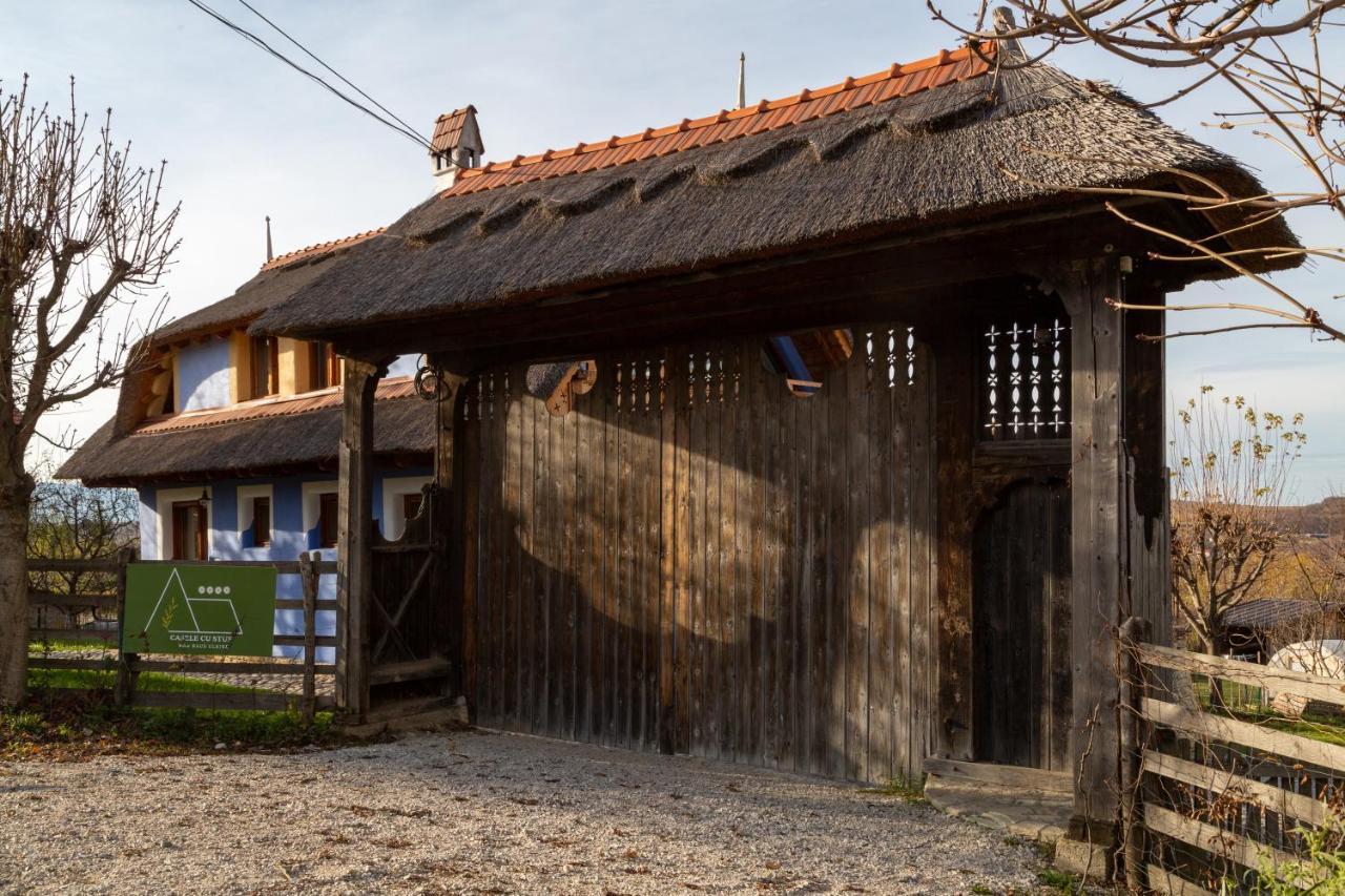Casele Cu Stuf B&B Haus Ulrike Szelicse Kültér fotó