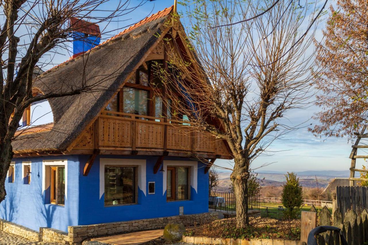 Casele Cu Stuf B&B Haus Ulrike Szelicse Kültér fotó