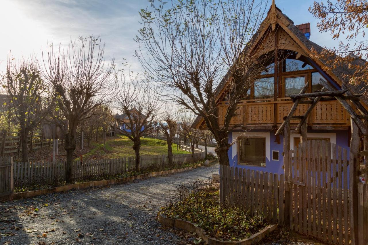 Casele Cu Stuf B&B Haus Ulrike Szelicse Kültér fotó