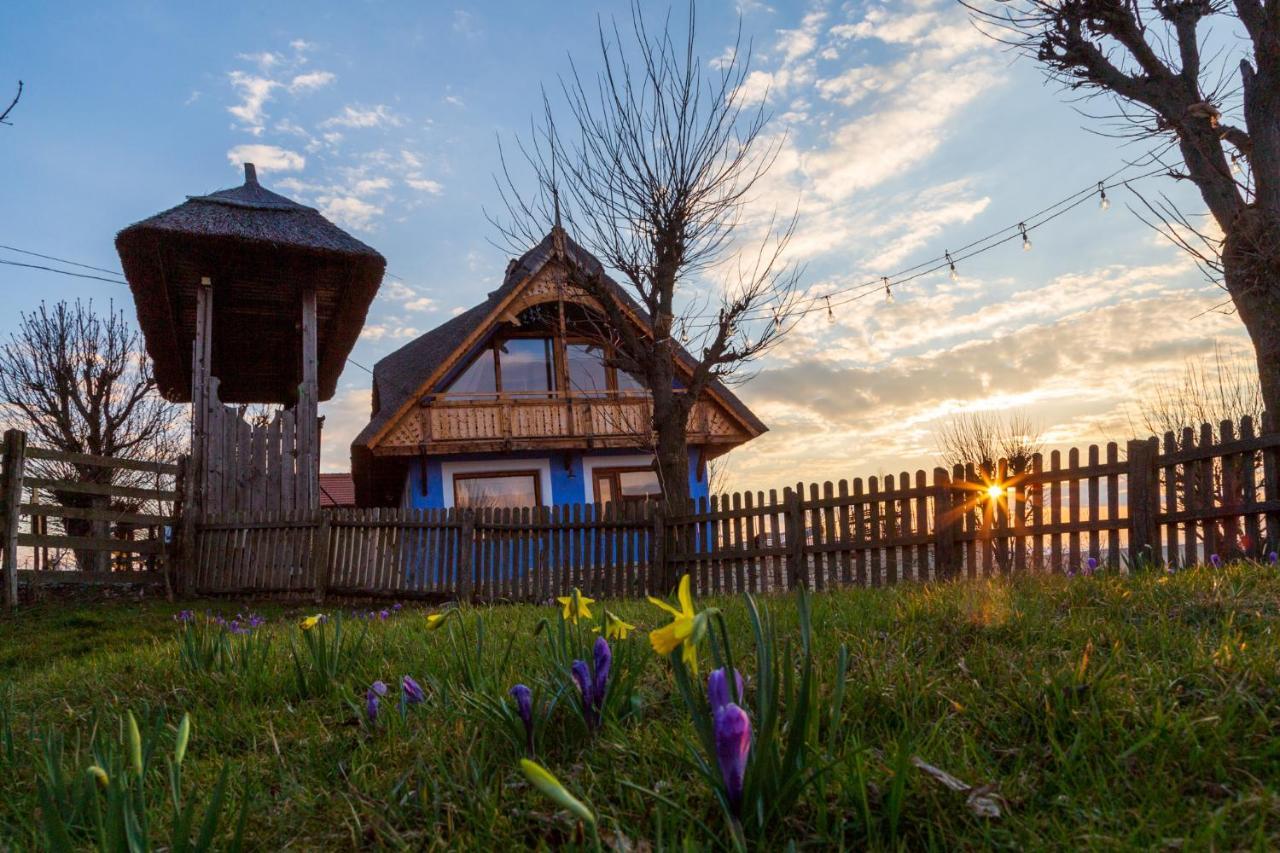 Casele Cu Stuf B&B Haus Ulrike Szelicse Kültér fotó