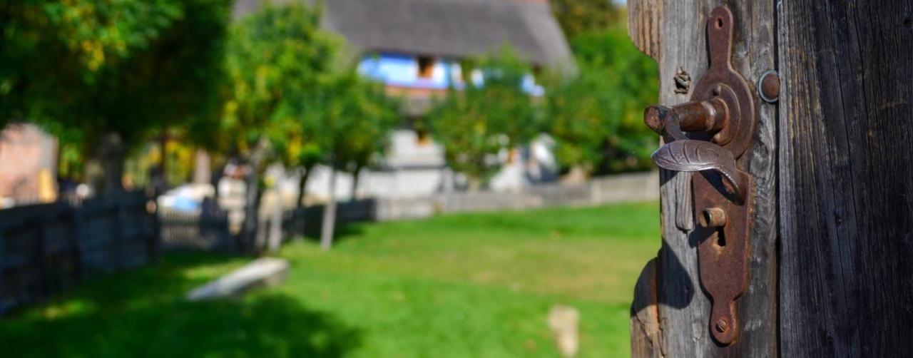 Casele Cu Stuf B&B Haus Ulrike Szelicse Kültér fotó