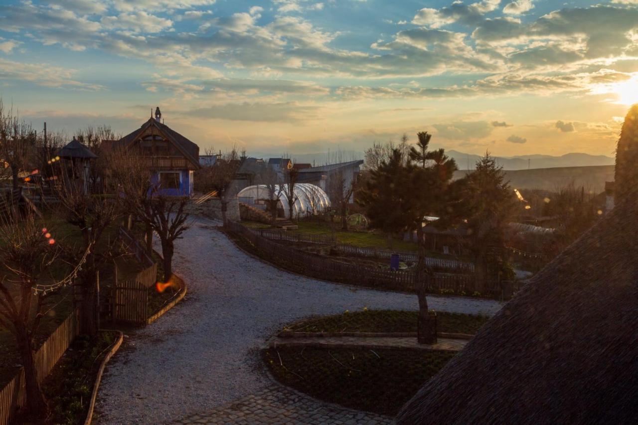 Casele Cu Stuf B&B Haus Ulrike Szelicse Kültér fotó