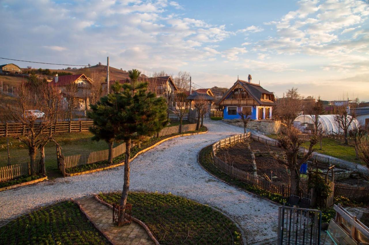 Casele Cu Stuf B&B Haus Ulrike Szelicse Kültér fotó