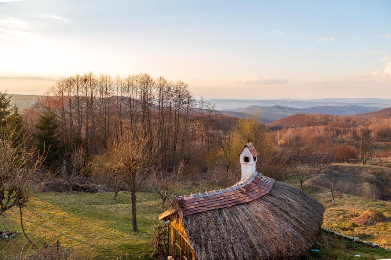 Casele Cu Stuf B&B Haus Ulrike Szelicse Kültér fotó