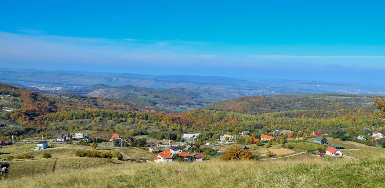 Casele Cu Stuf B&B Haus Ulrike Szelicse Kültér fotó