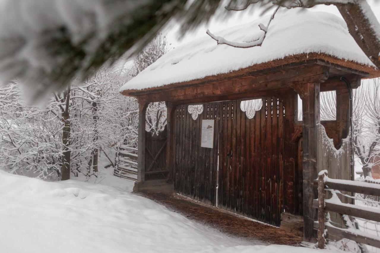 Casele Cu Stuf B&B Haus Ulrike Szelicse Kültér fotó