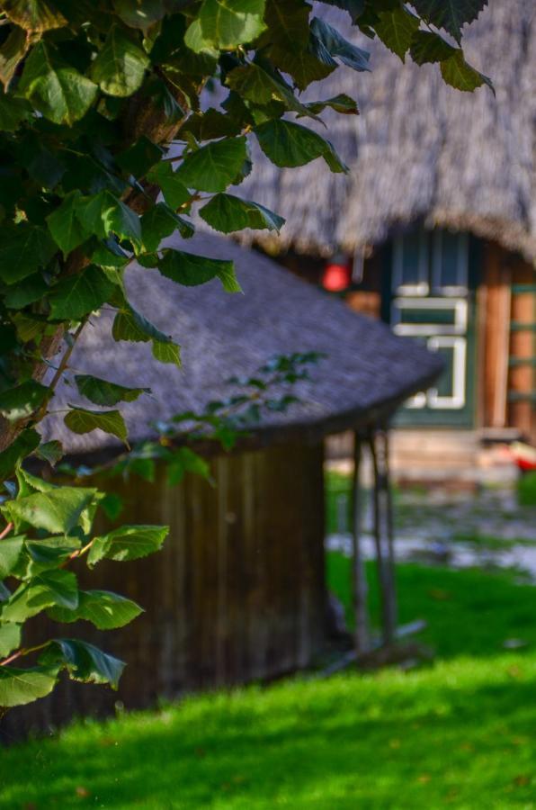 Casele Cu Stuf B&B Haus Ulrike Szelicse Kültér fotó