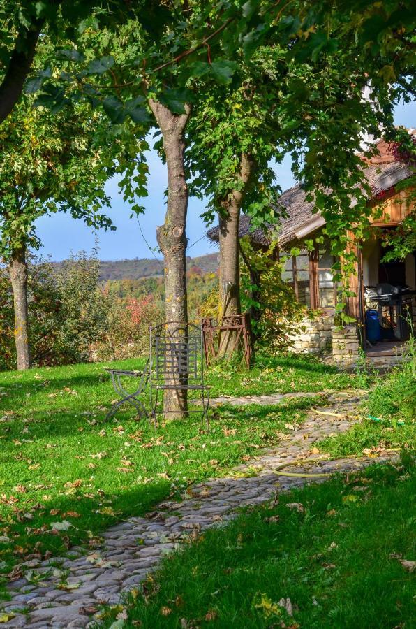 Casele Cu Stuf B&B Haus Ulrike Szelicse Kültér fotó
