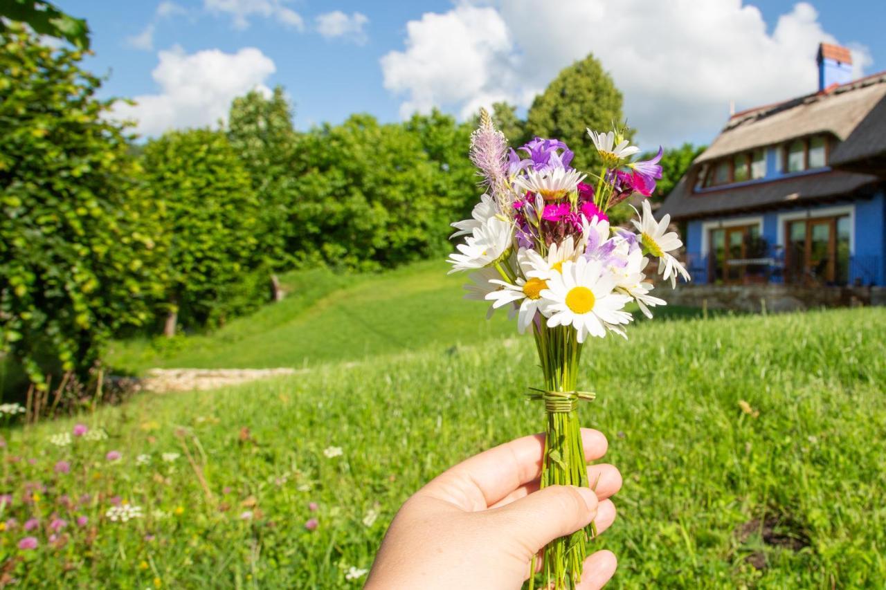 Casele Cu Stuf B&B Haus Ulrike Szelicse Kültér fotó