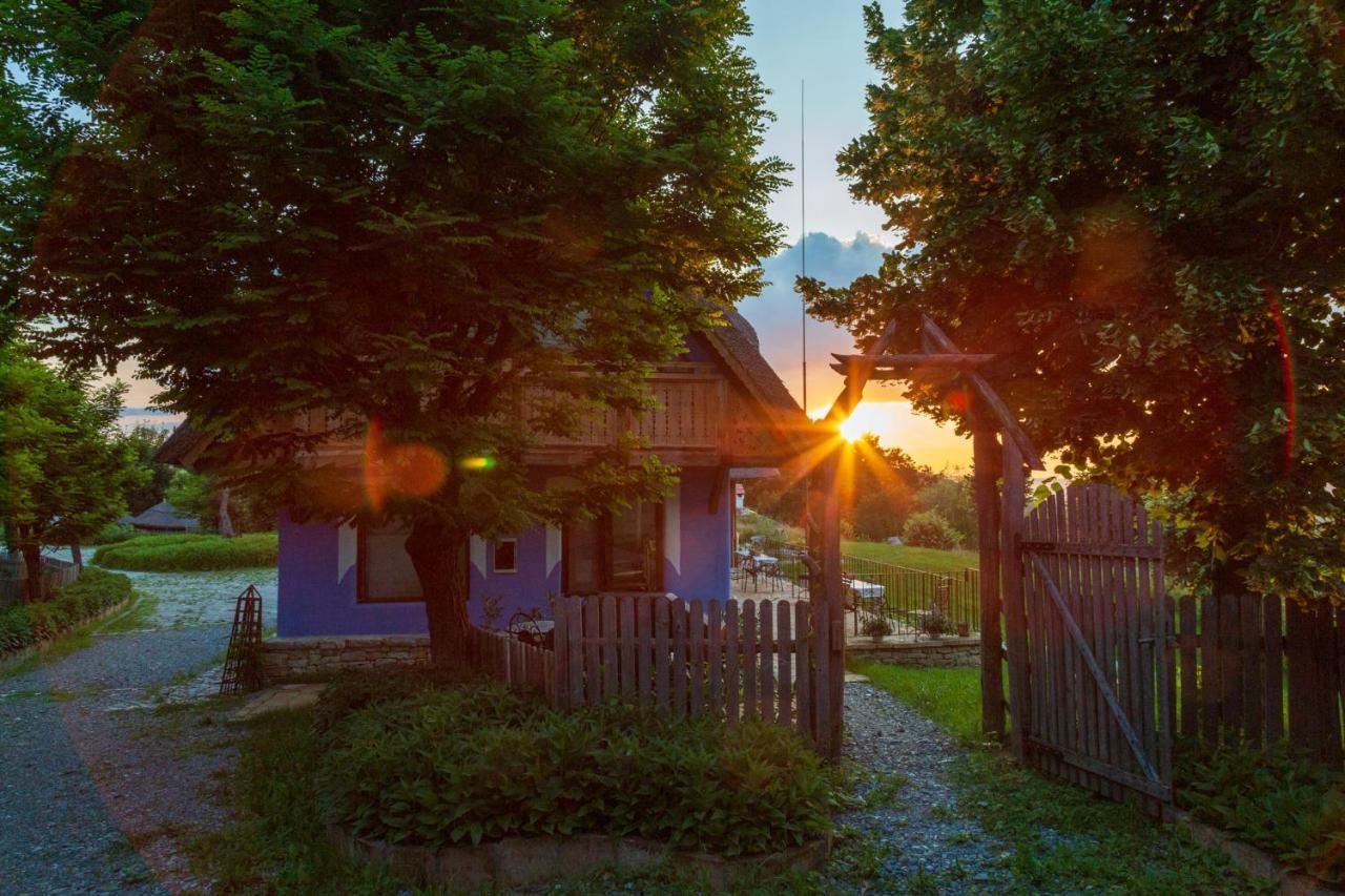 Casele Cu Stuf B&B Haus Ulrike Szelicse Kültér fotó