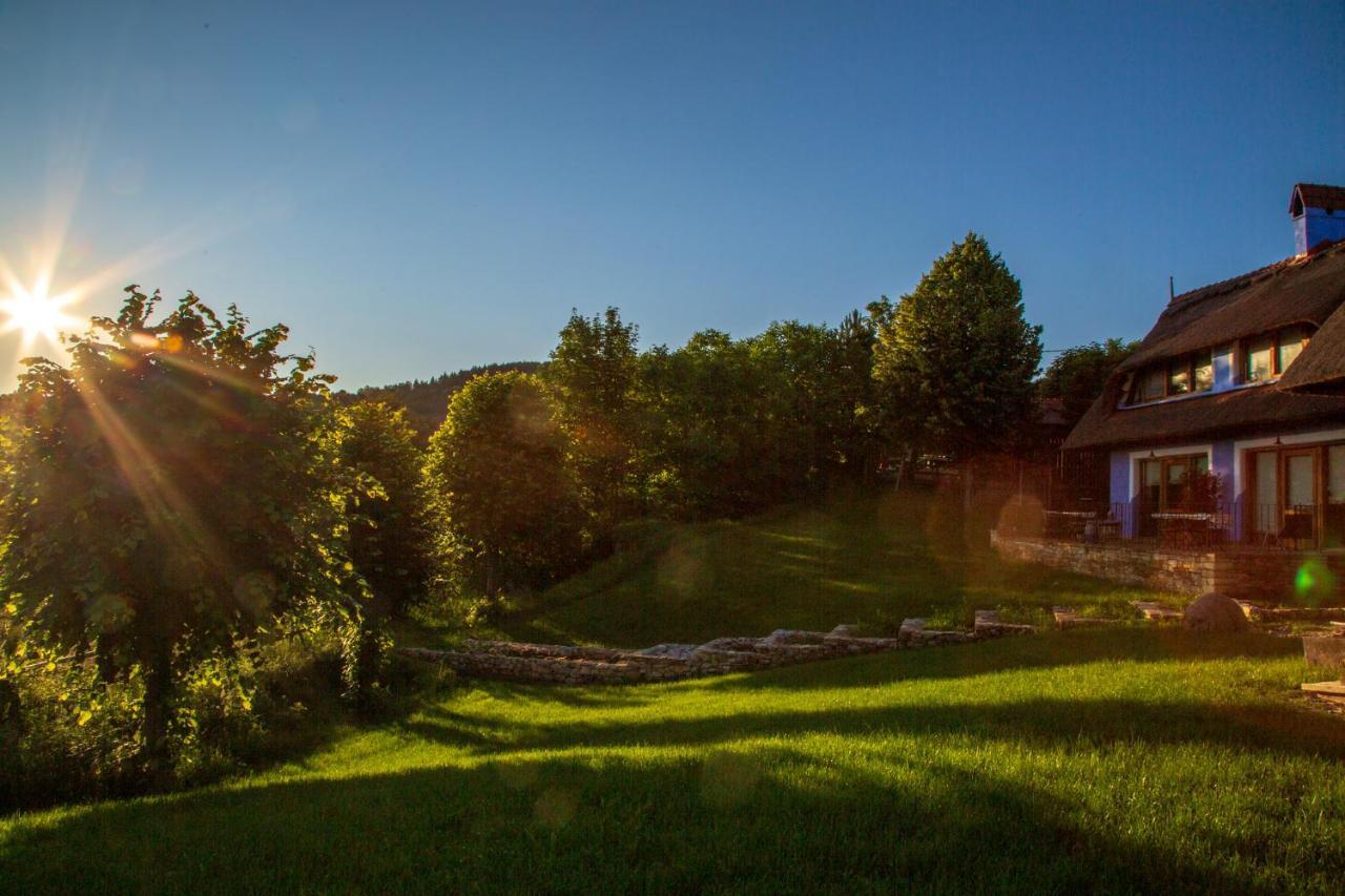 Casele Cu Stuf B&B Haus Ulrike Szelicse Kültér fotó